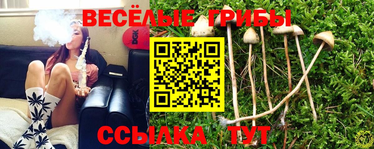 Галлюциногенные грибы мицелий  Вход с VPN  Минеральные Воды 